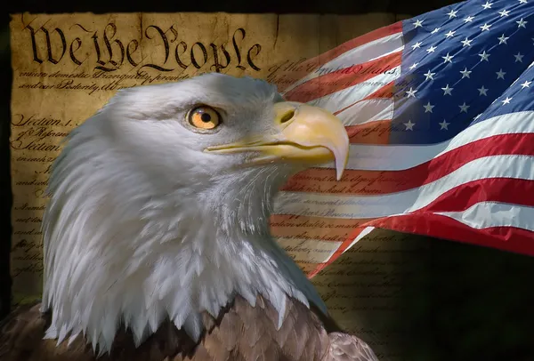Task Force Freedom